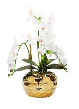 Load image into Gallery viewer, White Orchid Plant in Gold Hammered Vase
